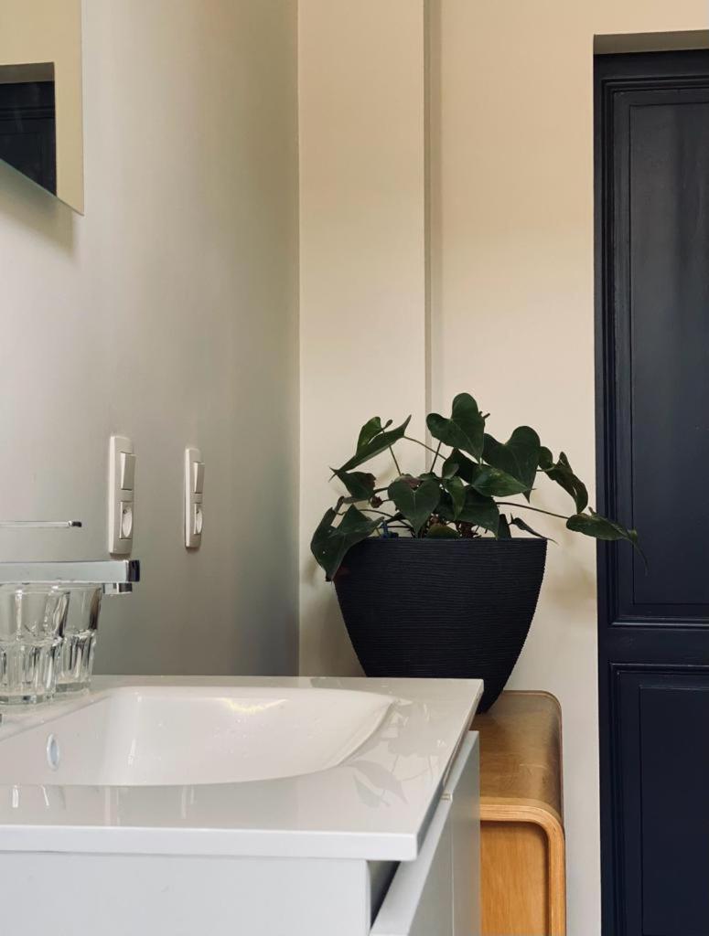 B&B Faja Lobi Гент Экстерьер фото